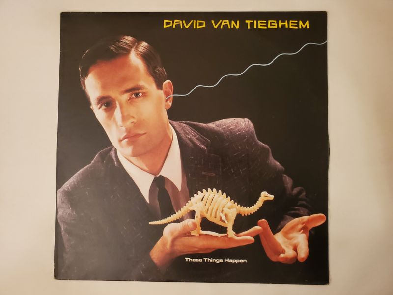 David Van Tieghem These Things Happen vinyl record